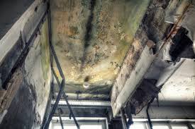 Best HVAC Mold Inspection and Cleaning  in Sorgho, KY